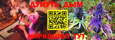 МДПВ Кингисепп
