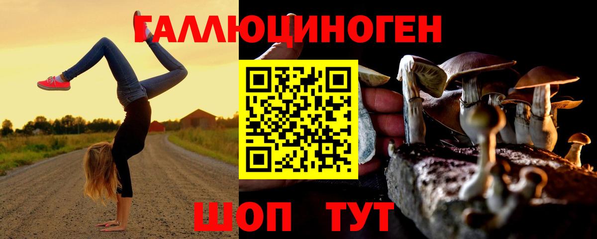 Галлюциногенные грибы ЛСД  Вход с VPN  Красный Сулин  Псилоцибиновые грибы мухоморы 